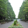 散歩は楽し　〜　ハスとスイレンを見に行く　（長居植物園、大阪東住吉区）　〜