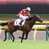 指名馬情報:牝馬第8位