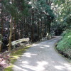 常隆寺山のハイク（その１）淺野公園からの登り