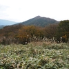 初秋の金山へ