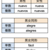 スペイン語#9　形容詞の変化で韻を踏む！