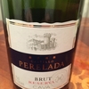 CAVA Reserva Brut Castillo Perelada