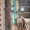 アメ横の柱に残る『戦いの跡』——京浜東北線・御徒町駅通過を巡る歴史を紐解く