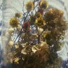 お盆休みに突入