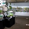 東京苔展２