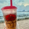*ついにハノイで！タイの有名なあのチャトラムーのタイティー*