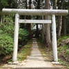 チームワークと共に挑む登山の楽しさ