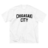 Chigasaki City