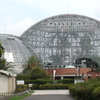 2013/08/17 夢の島熱帯植物館