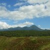 熊に好かれた？修学旅行