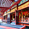 2026年11月の福岡県への旅行に行く事が確定しました。