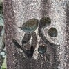 伝授を受けてからは