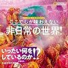 【レビュー】ここでしか味わえない非日常の世界！： 日経ナショナルジオグラフック