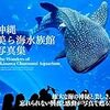 DMMかりゆし水族館