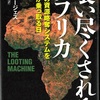 『喰い尽くされるアフリカ 欧米の資源略奪システムを中国が乗っ取る日』