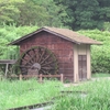 ２０２４年 梅雨時の風景 ⑦