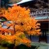 北陸 女子旅 〜2日目 永平寺編〜