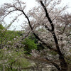 東山植物園