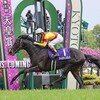 ジャスティンパレス今年で引退でアロースタッドで種牡馬入り