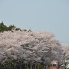 立木神社（草津）