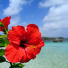 6月11日　木　大安