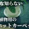 【冬対策】寒さから観葉植物を守るコツ！植物用ホットカーペットが超おすすめ！ヒーターマット(ヒートマット)をレビュー！暖房器具で防寒で冬越し！秋冬！観葉植物を温めて管理！簡易温室も！アガベ塊根ビカクシダエアプランツ多肉