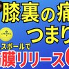 【膝裏の痛み・つまり感】テニスボールで膝裏のコリをほぐす 筋膜リリース#046