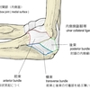 肘が痛い2
