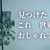 【おすすめ】賃貸住宅でもオシャレに観葉植物ハンギング！世界一おしゃれな突っ張り棒「DRAW A LINE」レビュー！インテリアにも最適！観葉植物｜アガベ｜多肉｜狭小部屋｜一人暮らし｜アパート｜マンション｜DIY