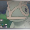 攻略ではなく冒険【ポケモンX プレイ日記27】四方八方草むら