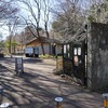 2025/01/26 神代植物公園 水生植物園