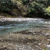 今日は渓流釣り