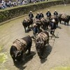 どろんこ祭り