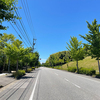 本日の風景から！
