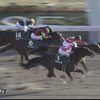 レッドルゼル　根岸Ｓ（Ｇ３）勝利！