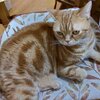 9/10 つぶやきまとめ