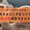 【節約技】犬のおむつ・マナーウェアはこの代用品で月1万も安くなる！しかも漏れない！