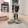 GWはゆっくりおうち時間。