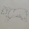 犬を描こう20200216-2