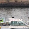 荒川河川敷思ったより暑かったカラスさんぽ