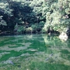 日本名水百選  “出流原弁天池”  癒しの場