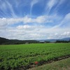 えびの高原を北上（宮崎県えびの市）