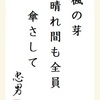 楓の芽 晴れ間も全員 傘さして