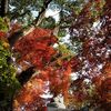 『 野津町 普現寺 』