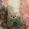 子供にいつも着せている腹巻の代わりに腹巻パンツを着せてみた。冬季限定になりそうだけど弄便対策の一つになりそう