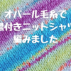 オパール毛糸で襟付きニットシャツ！【段染め毛糸で縦縞に】
