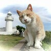報復か❓、、、
