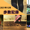 【2021年12月分】目標毎日20,000歩のウォーキング【ウォーキングダイエット】