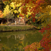 京都の紅葉2013～嵐山周辺の光景