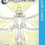 Claymore クレイモア を三幕構成を意識しながら読む 頭の上にミカンをのせる